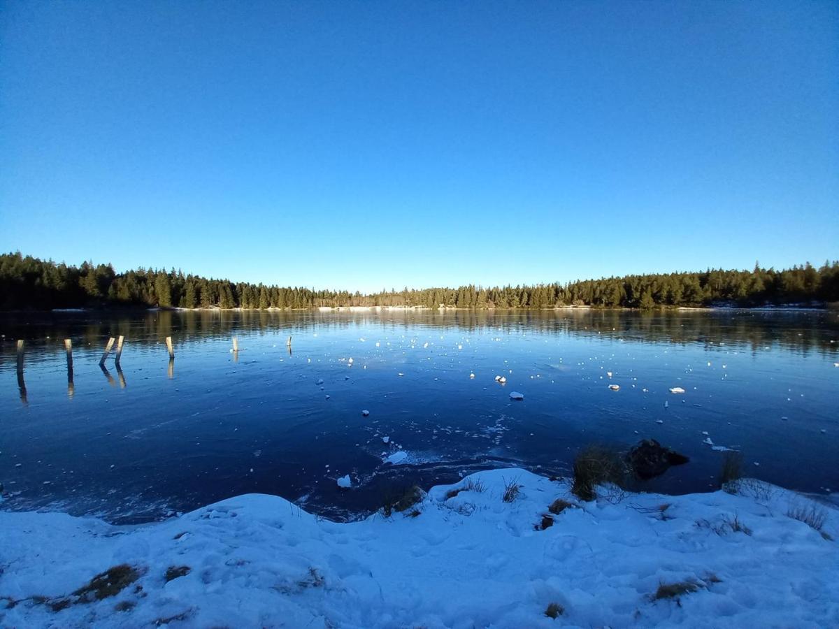 Les Gites De Recoleine Nébouzat Exteriér fotografie