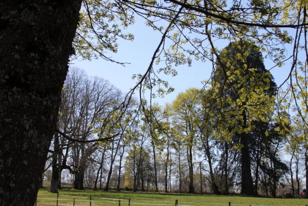 Les Gites De Recoleine Nébouzat Exteriér fotografie